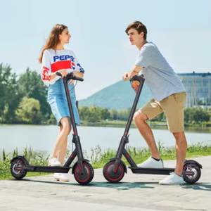 350W Foldable Electric Scooter
