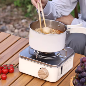 Portable Camping Gas Stove